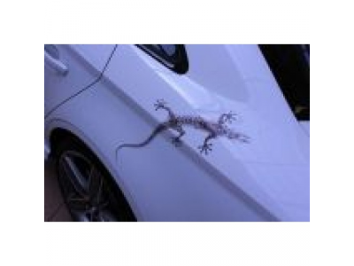 Наклейка робот-геккон Audi quattro, 30x40 cm., артикул 4M0064317A